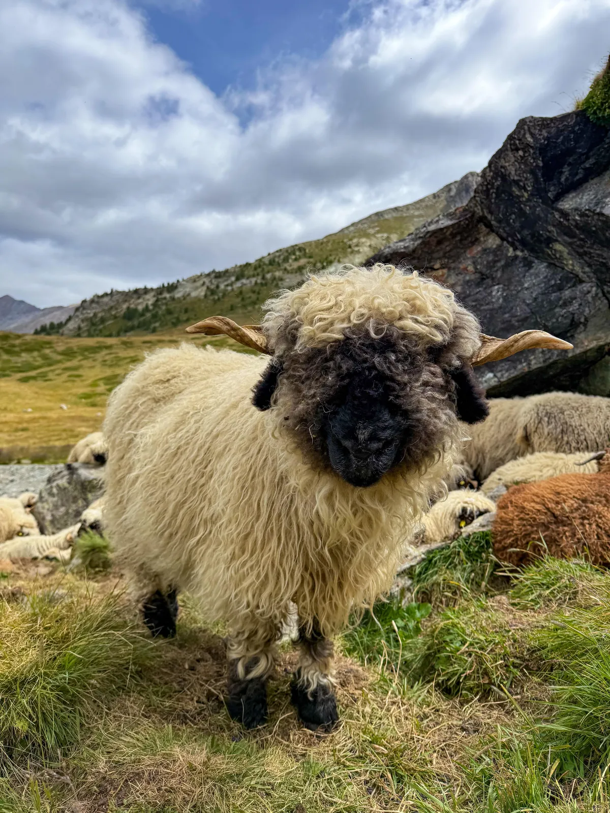 2 weeks hiking &amp; summer skiing in Switzerland August 2025 - Lauterbrunnen, Grindelwald, Thun, Zermatt, Lucerne