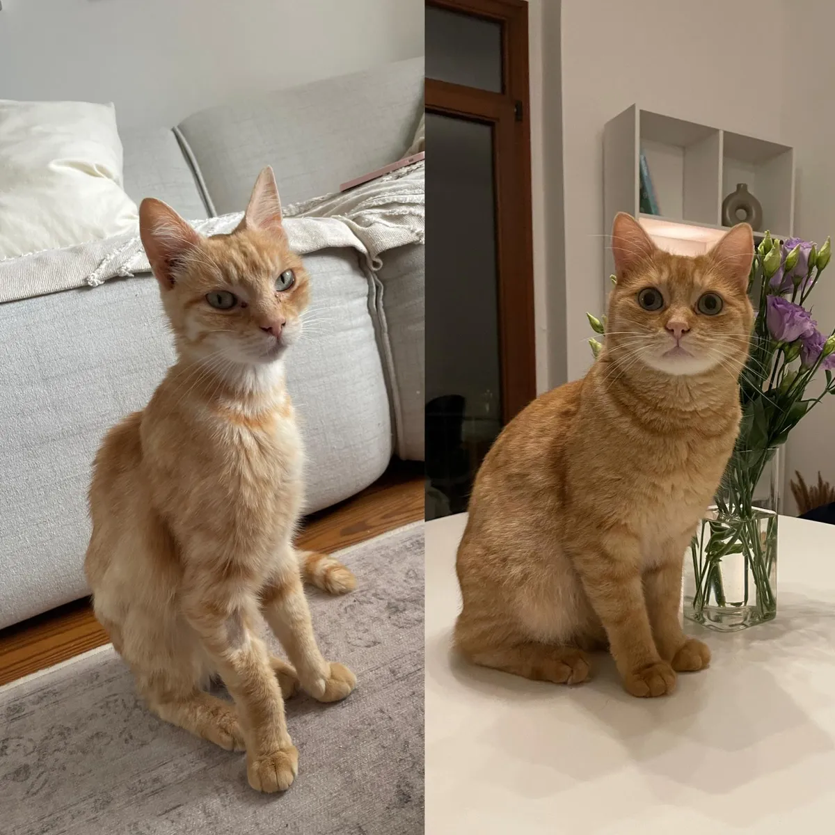 The difference 5 months and love (aka food) makes