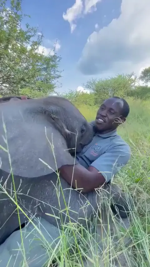 They never told us about this job during career day