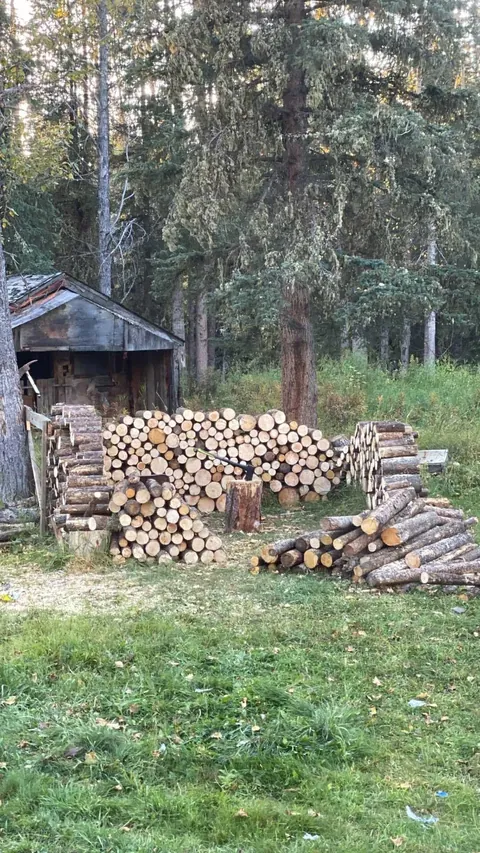 Made a wood shed while i sawed &amp; and stacked today - took about 9 hr