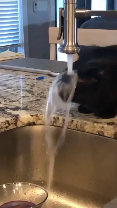 Bro reduced the thirst