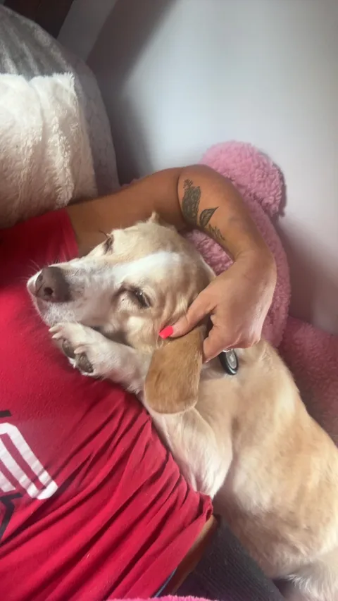 This dog has brought me pure joy since my divorce