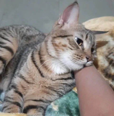 His girlfriend cheated on him. Someone please tell him to move on.