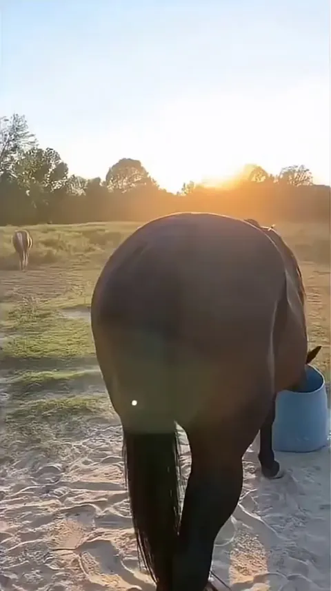 Hand feeding a spider is wild