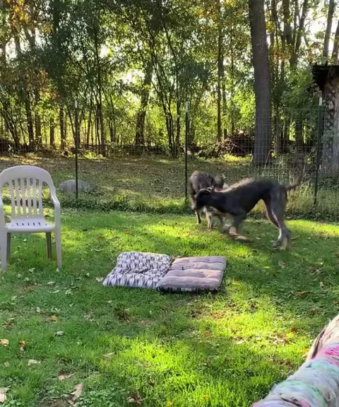 Sister and brother play after brothers amputation