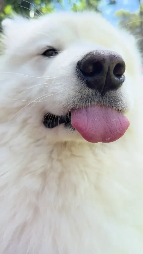 Dad dad dad dad is my breath hot?