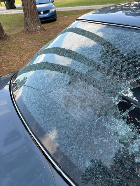 A PINECONE Fell From a Tree and Completely Shattered The Rear Window of My Car