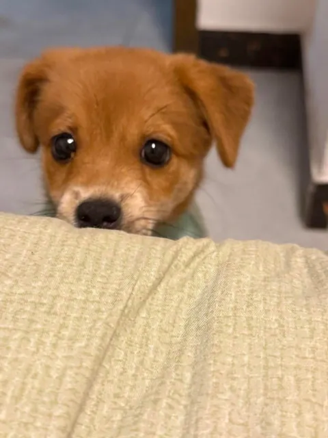 Just wanted to say hello with these eyes