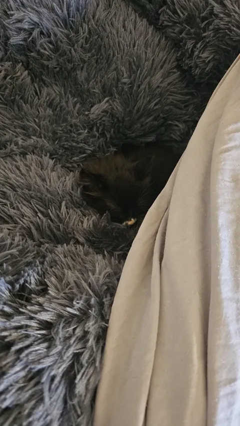 Heard something making noise in a drain in a parking lot working today. Couldn't get services to help, but after a lot of time I was able to go down and pull her out