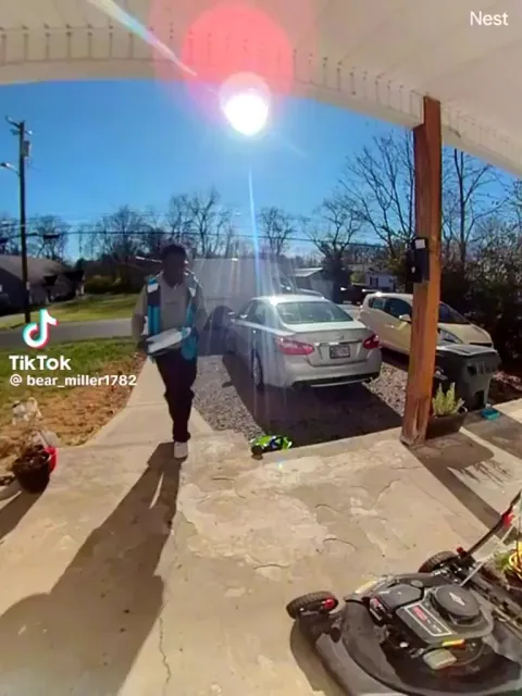 Cat greets the Amazon delivery driver!