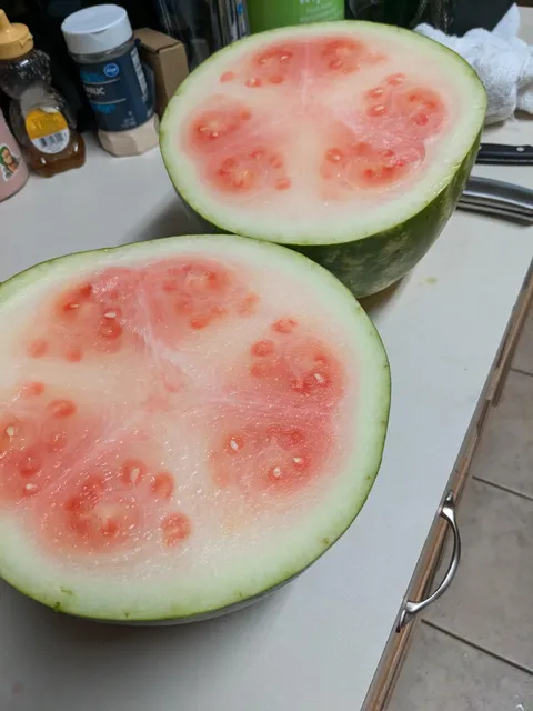 Lost the watermelon gamble today :/