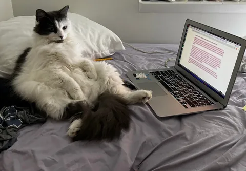 she works from home