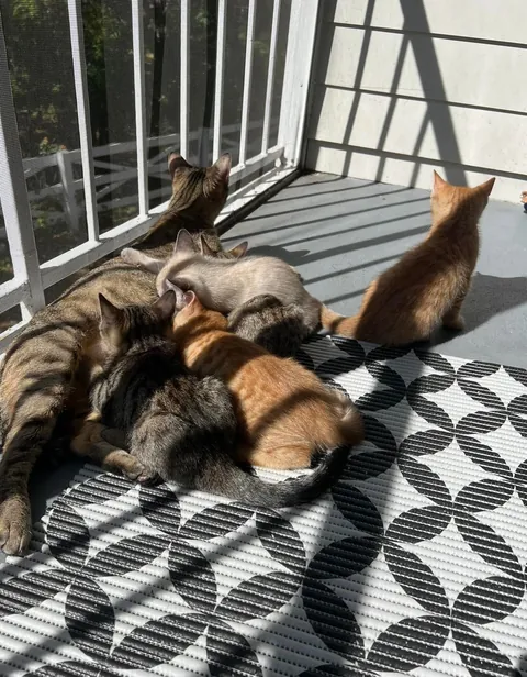 Kept the family together