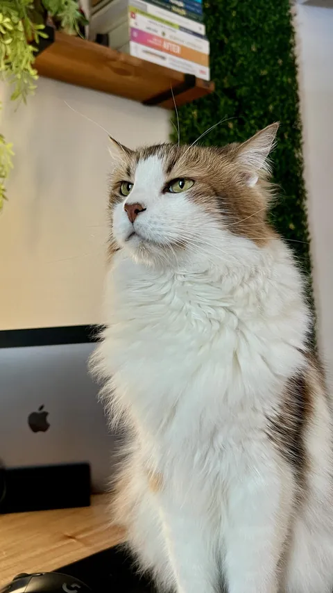 He’s the king of my house