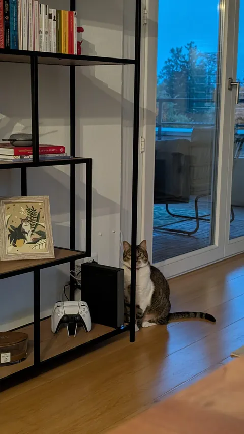 We're playing hide and seek