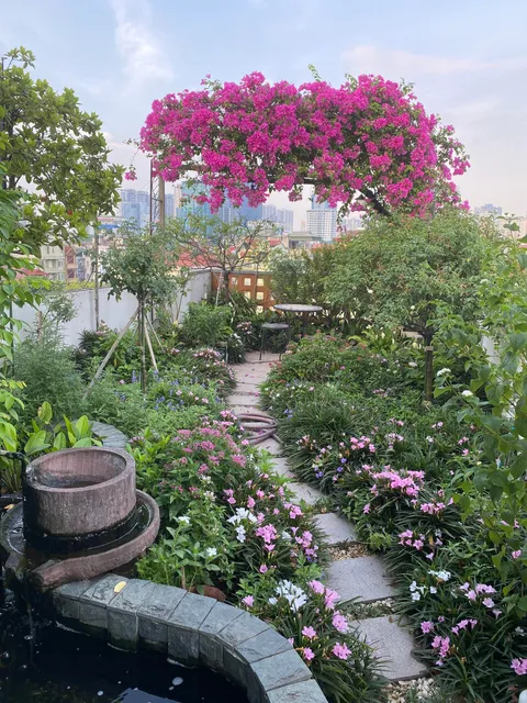 My father's rooftop garden in Vietnam