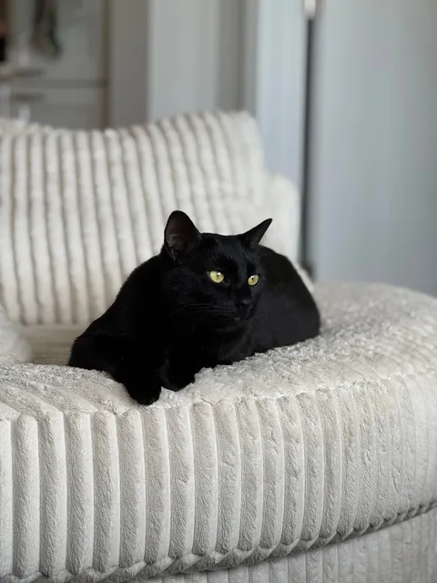 He’s just so pretty!