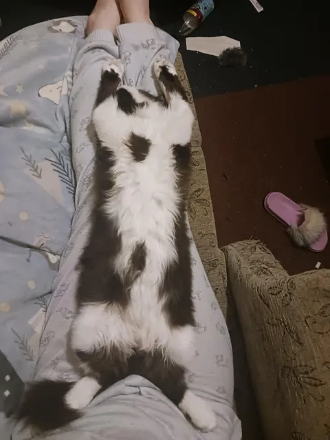 She might have a favourite sleeping position