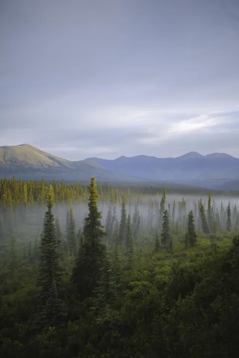 Denali Highway, Alaska [3648x5472] [OC]