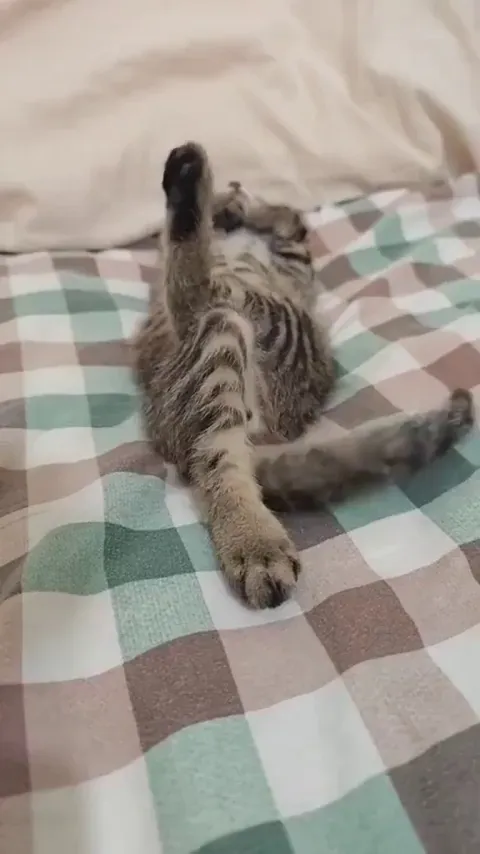 Opsss! Princess is sleeping..😁😌