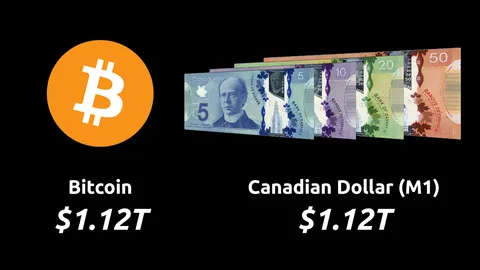 Bitcoin is now larger than the Canadian Dollar (M1).
