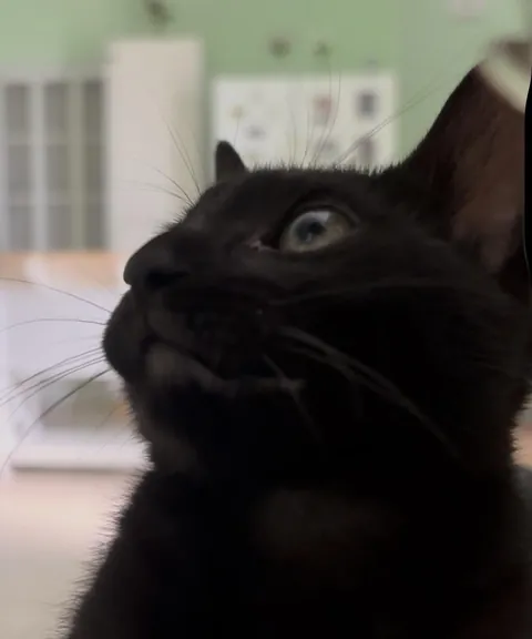 I wish we could know what they’re thinking about