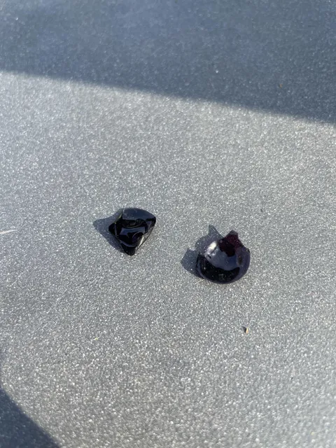 My photochromic contact lenses after I left them outside for 24 hours.