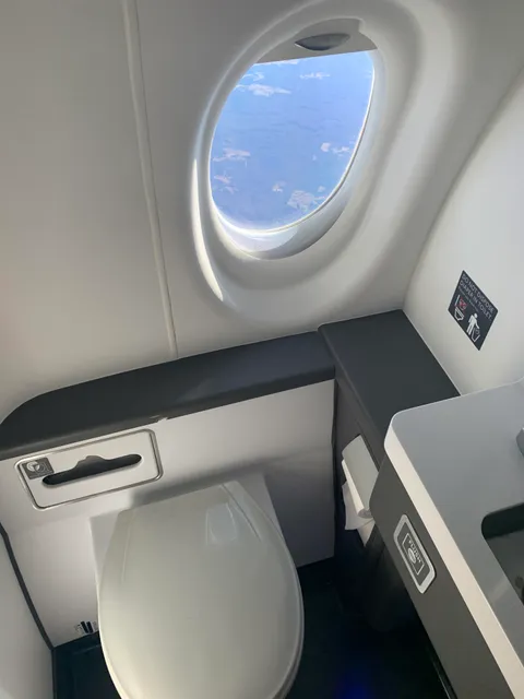 My airplane bathroom had a window in it