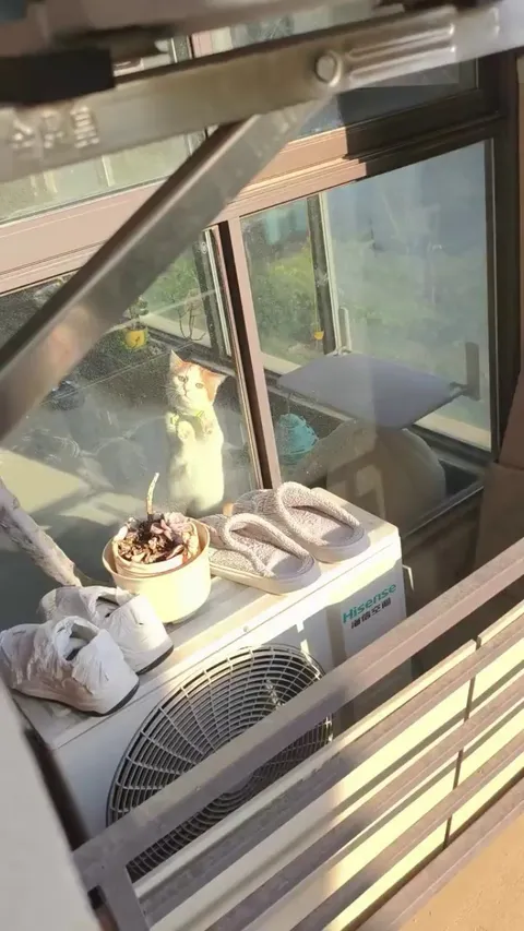 If curiosity had a face