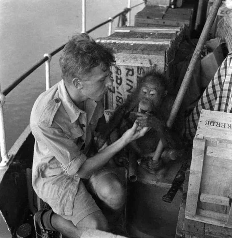 The first adventures photos of David Attenborough, in 1950s.