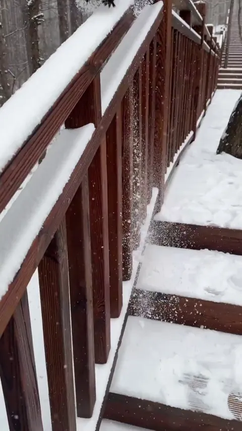 A heartwarming moment as a fluffy black squirrel eats nuts from a person’s hand in the snow.