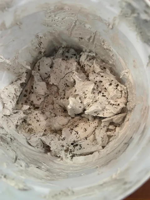 I just opened a tub of used patching plaster and it looks like it has... eggs? What am I looking at?