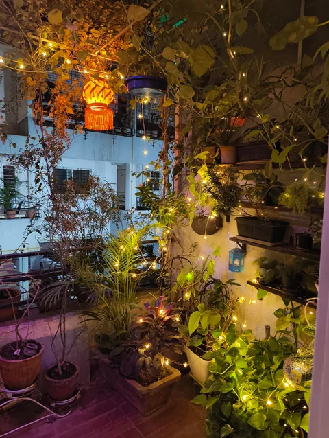 Posting my balcony garden for diwali 2025