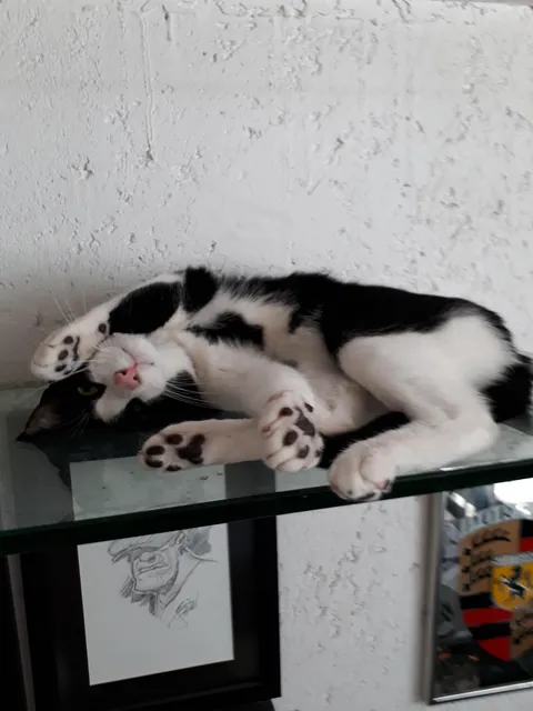 My best friend has left me. I will miss you forever, Luke.