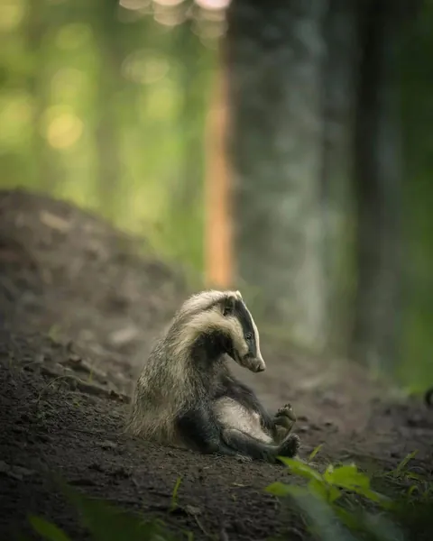 🔥🔥the Best funny nature pics
