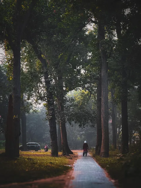 ITAP of a lady in a walking park, India 