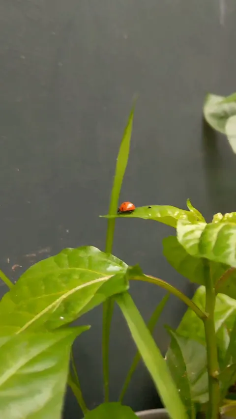 Corporate life at it's finest