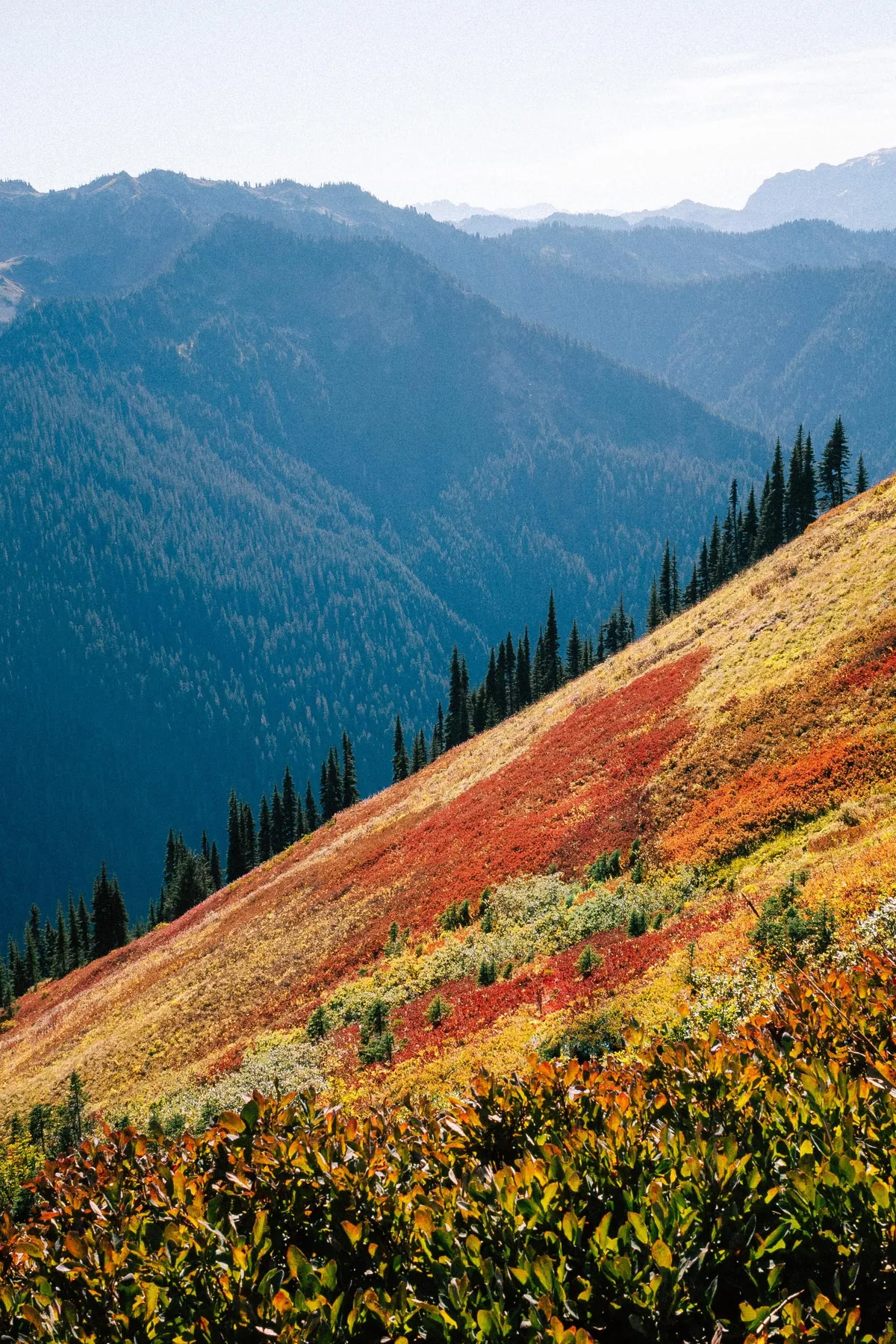 I hiked 2650 miles from Mexico to Canada on the Pacific Crest Trail