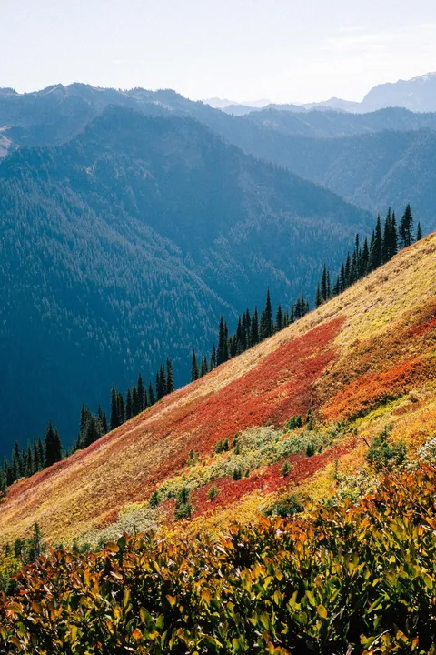 I hiked 2650 miles from Mexico to Canada on the Pacific Crest Trail