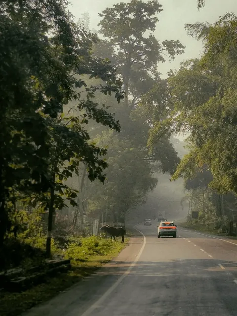 Coming Back to My Hometown