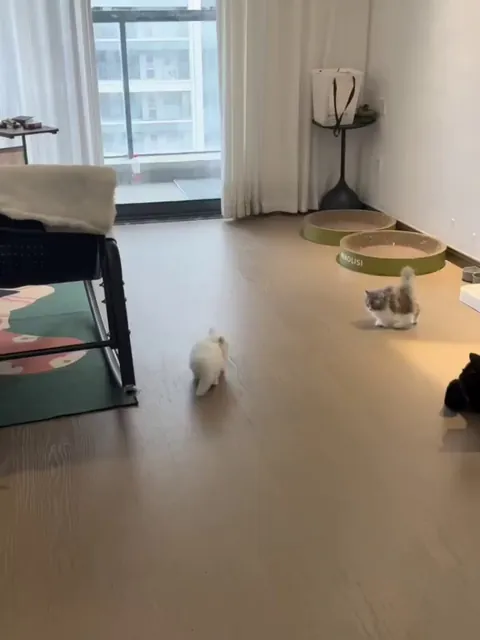 Cuteness overdose 😍🔥