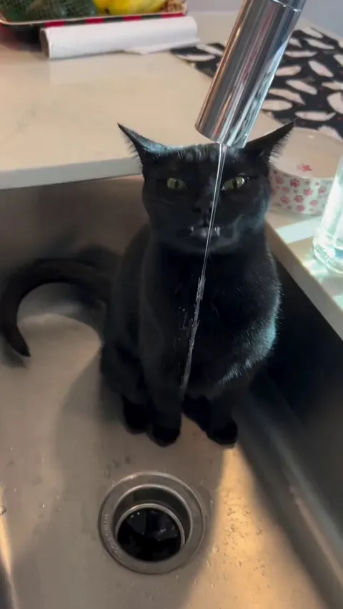 I guess this is a reminder for us to stay hydrated