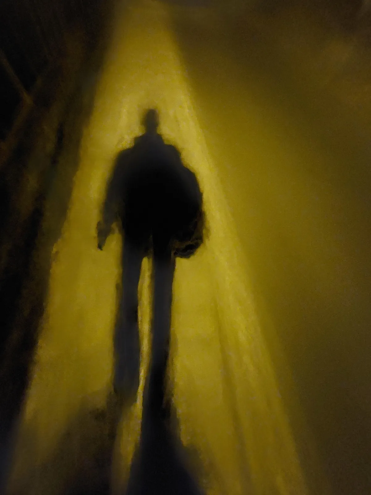 Took this photo by mistake, no edits