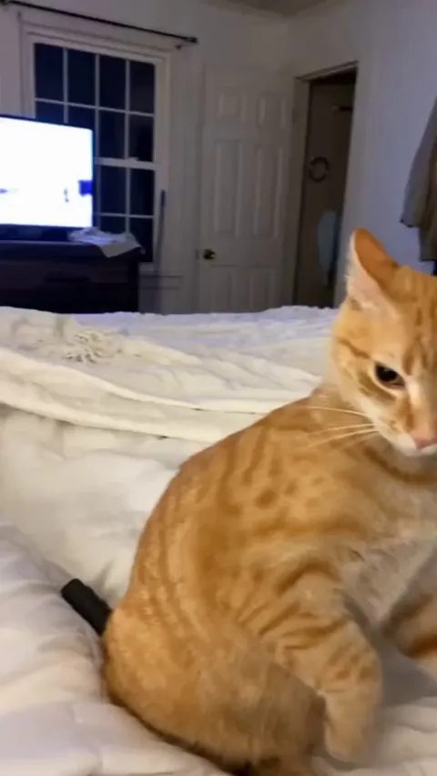 The predator inside her has awakened and she can no longer be stopped 😅