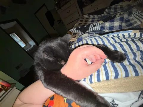 Is this even normal?