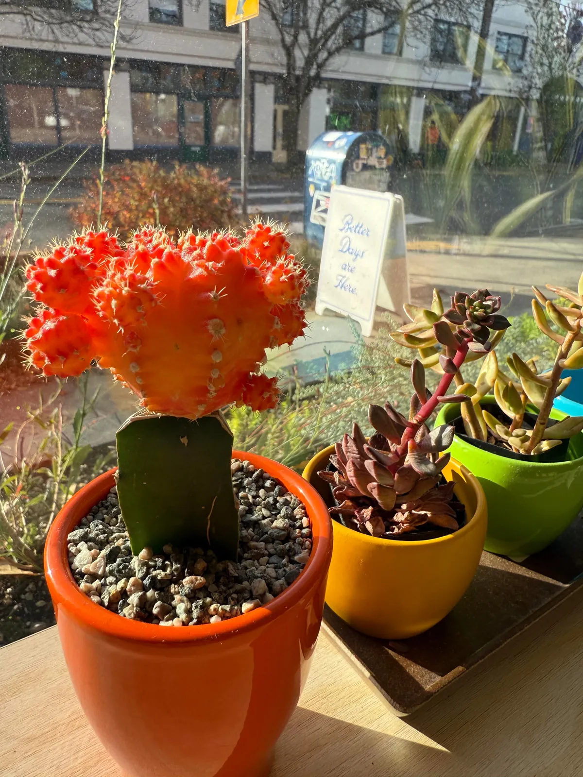 [OC] Just returned from the war zone in Portland /s