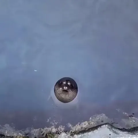 Perfect watertight seal