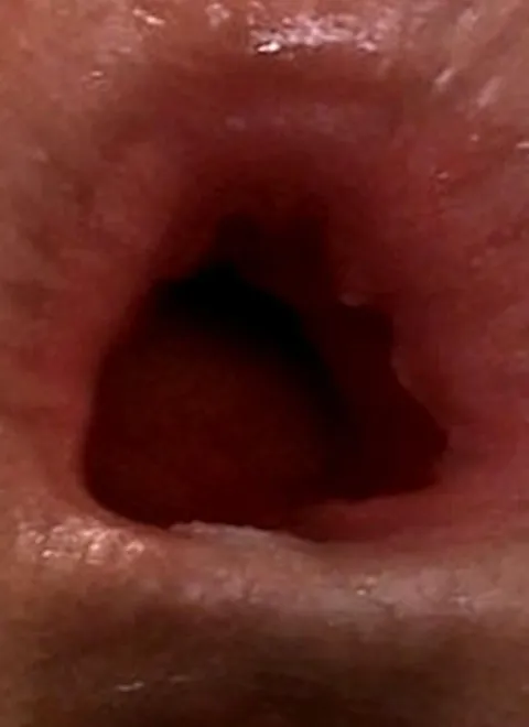 Remy and the fantastic journey