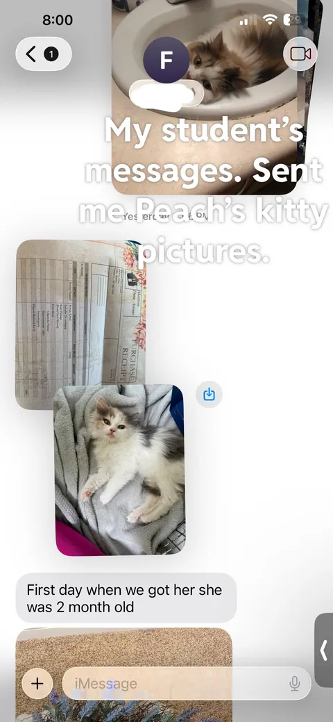 Update: I have the cat my student rehomed 3 years ago and thought had died.