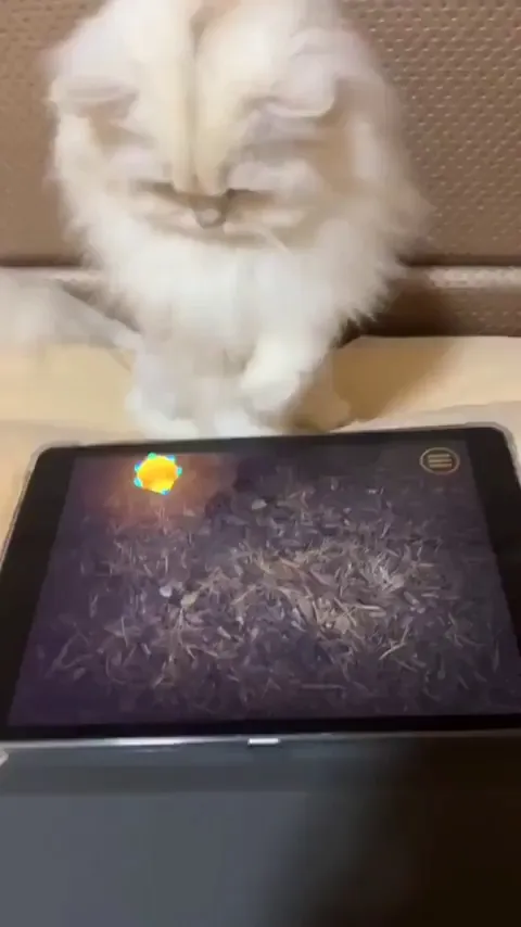 Pro gamer detected...😎